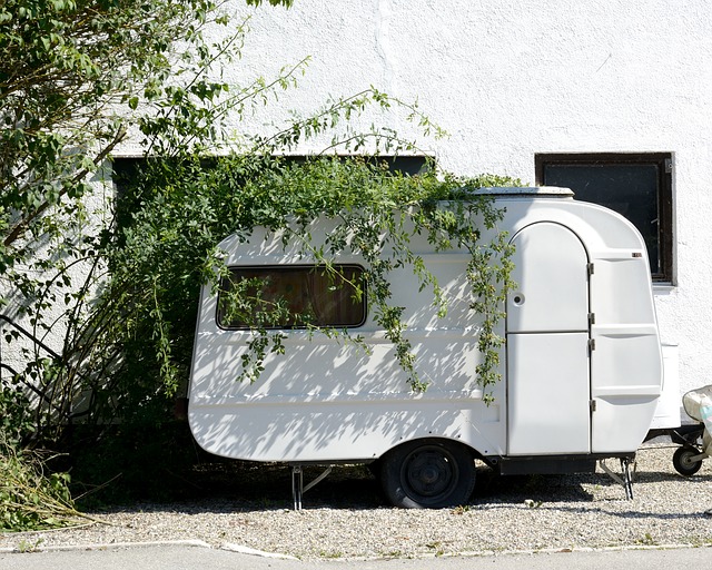 karavan pod stromem.jpg