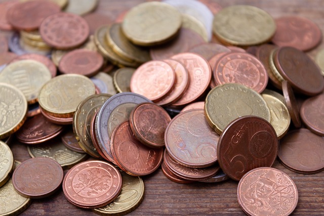 cizí mince